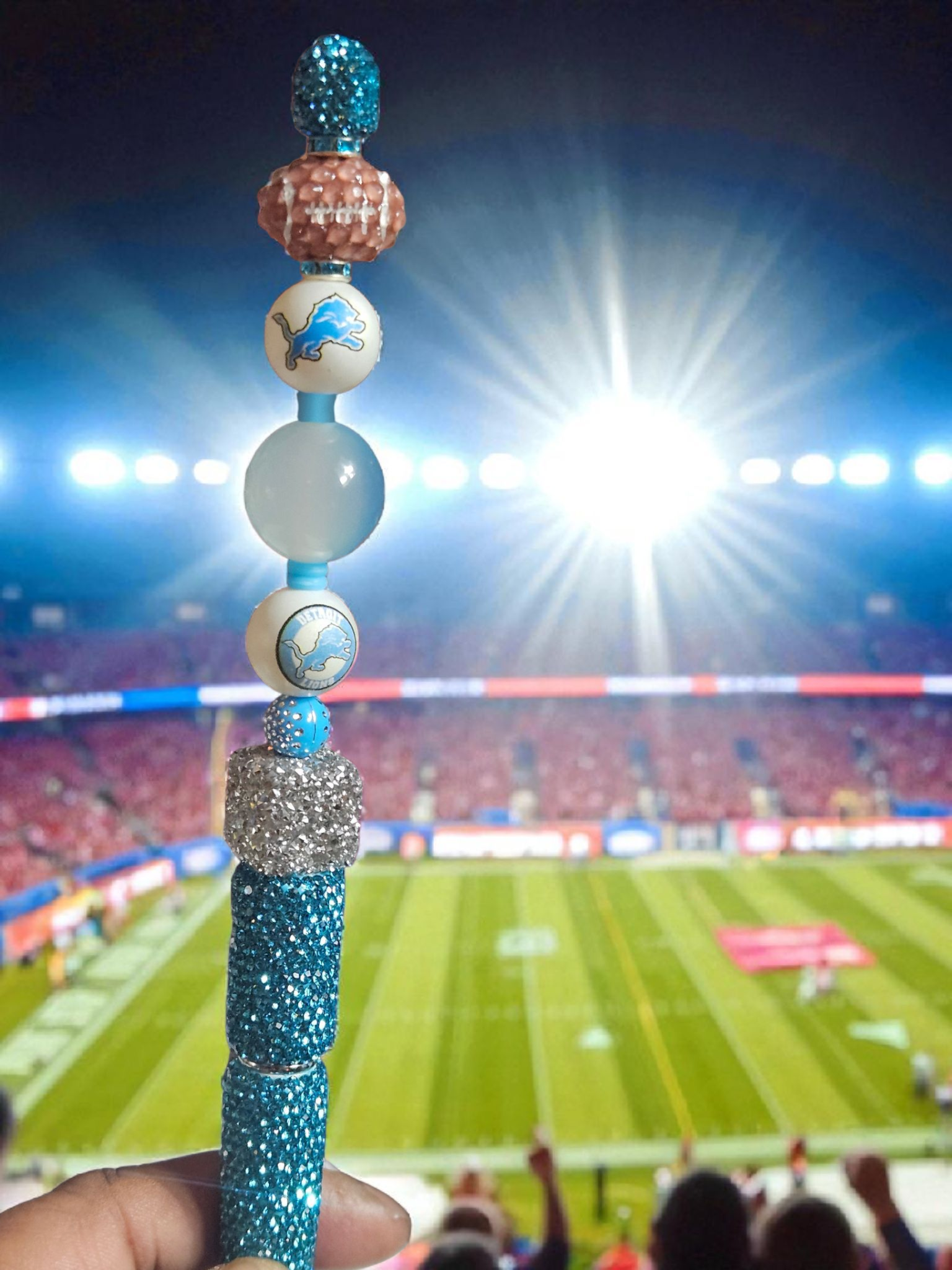 Detroit Lions