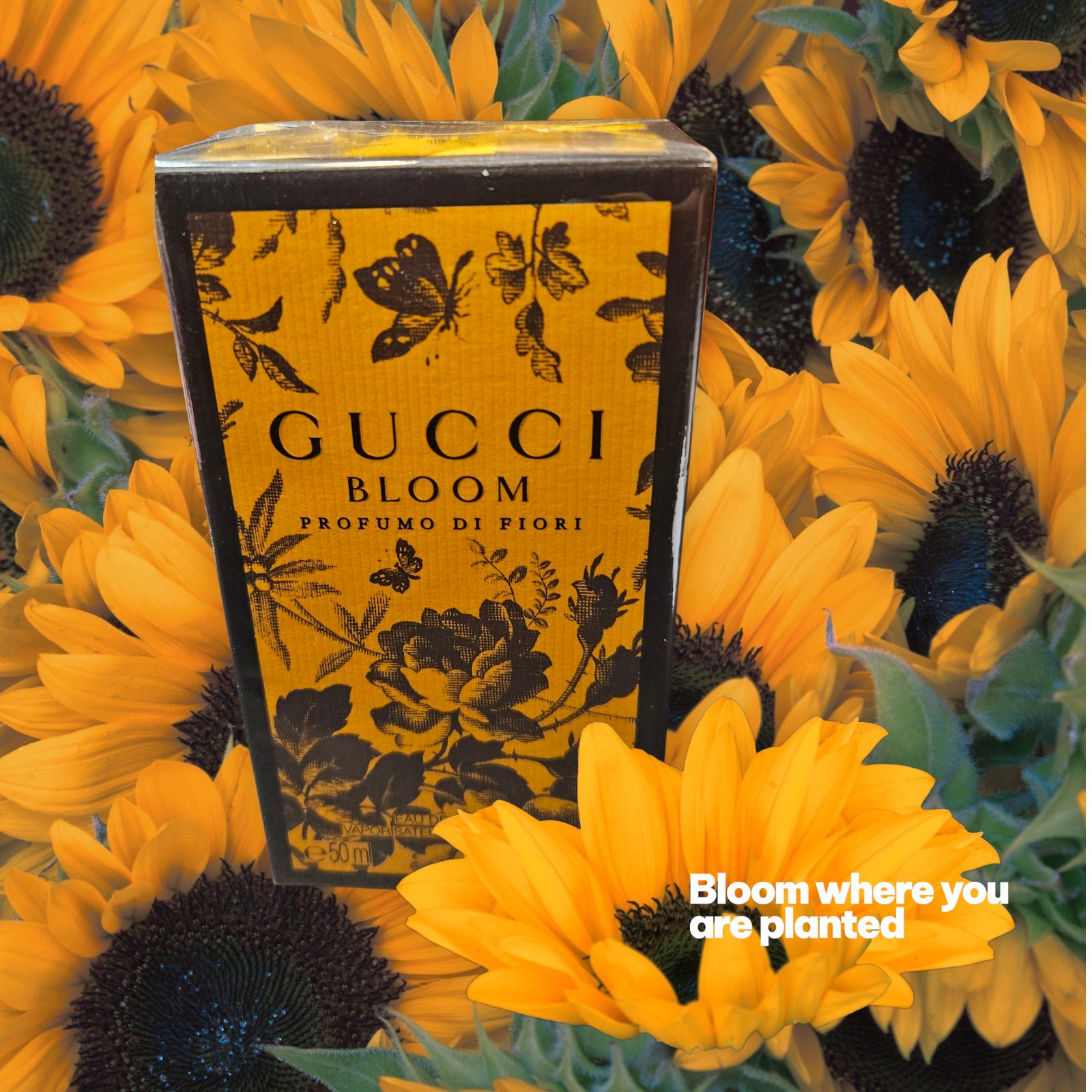Gucci Bloom